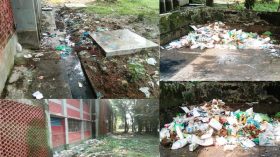 আমতলী স্বাস্থ্যকমপ্লেক্স যেন ডেঙ্গুবাহিত মশার বাসস্থান