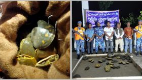 কলাপড়ায় বাসে তল্লাশি চালিয়ে ৬২ কচ্ছপ উদ্ধার