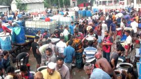 বরিশালে প্রতিদিন কোটি টাকার মাছের পোনা বেচা-কেনা