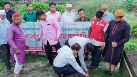 পাথরঘাটায় পরিবেশ সুরক্ষায় সড়কের পাশে ১০ হাজার তালের বীজ রোপন