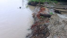 বাবুগঞ্জে সুগন্ধার আকস্মিক ভাঙ্গন, হুমকিতে বরিশাল বিমানবন্দর