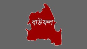 বাউফলে চাচা ভাতিজাকে কুপিয়ে জখম!