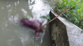 নলছিটিতে খাল থেকে বৃদ্ধের ভাসমান মরাদেহ উদ্ধার
