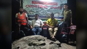 ইলিশ রক্ষায় তেতুলিয়া নদীতে গলাচিপা উপজেলা প্রশাসনের অভিযানে ২ জেলের কারাদণ্ড