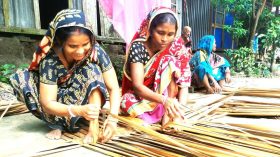 হোগলা পাতায় ওদের ভাগ্য বদলের সংগ্রাম