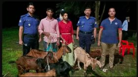 মির্জাগঞ্জে ছয় চোরাই ছাগলসহ শ্যালক-দুলাভাই আটক