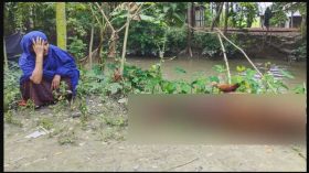 পটুয়াখালীতে শত্রুতার জেরে অ্যাসিড নিক্ষেপে গরুর মৃত্যু