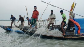 মধ্যরাত থেকে ২২ দিনের জন্য বন্ধ হচ্ছে ইলিশ ধরা