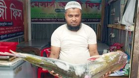 কুয়াকাটায় ইলিশের জালে ১৬ কেজির পাঙাশ, ২০ হাজারে বিক্রি