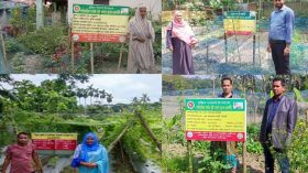 বরিশালে পারিবারিক পুষ্টি সবজি বাগানে বদলে যাচ্ছে প্রান্তিক জনগোষ্ঠীর জীবনমান
