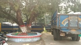 নলছিটিতে সাড়ে ৪ টন নিষিদ্ধ পলিথিন জব্দ