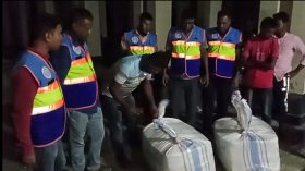 পটুয়াখালীতে ৮০ কেজি জাটকাসহ ৩ ব্যবসায়ী আটক