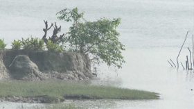 ১৬ বছর পরও আতঙ্ক কাটেনি উপকূলে