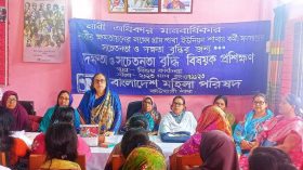 কাউখালীতে নারীদের দক্ষতা ও সচেতনতা বৃদ্ধি বিষয়ক দিনব্যাপী প্রশিক্ষণ
