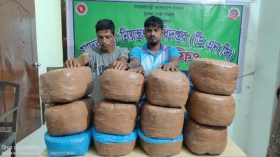 দুমকিতে ৪২ কেজি গাঁজাসহ দুই কারবারি গ্রেপ্তার, মূলহোতা পলাতক