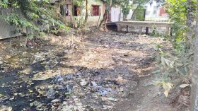 মশা আর দুর্গন্ধে নাকাল নগরবাসী