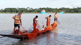 ঝালকাঠিতে ৩৩৬ অভিযানে দেড়কোটি টাকার জাল জব্দ
