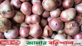 বরিশালেও বাজার থেকে উধাও পিঁয়াজ