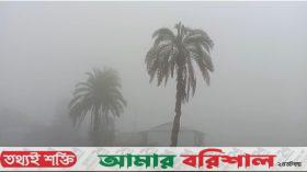 দক্ষিণেও কুয়াশার সাথে বেড়ে গেছে শীত