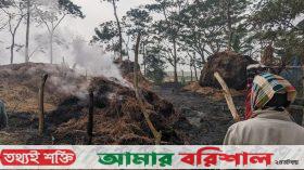 বাউফলে ইউপি সদস্যর গোয়াল ঘর ও খড়ের পালায় দুর্বৃত্তদের আগুন