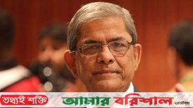 ৯ মামলায় মির্জা ফখরুলের জামিন