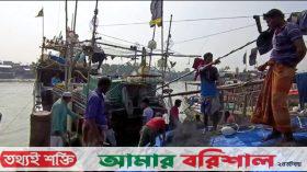 এক টানে জালে উঠল ৯২ মণ ইলিশ!