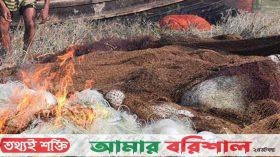 বরগুনায় পোড়ানো হলো ৭ লাখ টাকার অবৈধ জাল