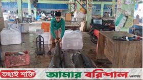 ১৪০ কেজি ওজনের চারটি পাখি মাছ ২৫ হাজার টাকায় বিক্রি