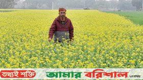 ঝালকাঠিতে সরিষার বাম্পার ফলনে বাড়ছে চাষ