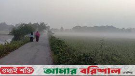 কলাপাড়ায় মৌসুমের সর্বনিম্ন তাপমাত্রা রেকর্ড