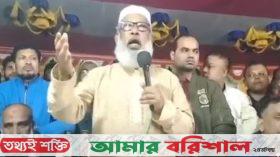 ‘বুকে হাত দিয়ে বলতে পারি আমার ভাই সাঈদীর বিরুদ্ধে সাক্ষী দেয়নি’