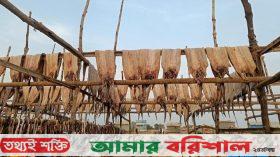 শুঁটকি পল্লীর অভাবে অন্ত নেই দুর্ভোগের