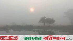 শীতে কাঁপছে পটুয়াখালী, বৃষ্টির মতো পড়ছে কুয়াশা