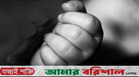 পাথরঘাটায় পুকুরে ডুবে শিশুর মৃত্যু