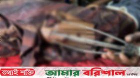 বাউফলে পারিবারিক বিরোধের জেরে যুবক টেঁটাবিদ্ধ