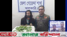 ঝালকাঠিতে গাঁজাগাছ-ইয়াবাসহ আটক ২