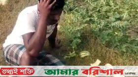 তরমুজের সাথে এ কেমন শত্র‍ুতা !