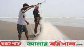 সাগরে জাল ভরে উঠছে জেলি ফিশ, খালি হাতে ফিরছে জেলেরা