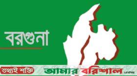 পাথরঘাটায় বন্য শুকরের আক্রমণে আহত ৫