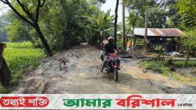 আমতলীতে সংস্কারের অভাবে বেহাল ৮ কিমি সড়ক