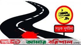 পাথরঘাটায় টমটমের চাপায় এক ব্যক্তি নিহত