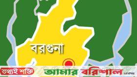 আমতলীতে পুকুরে ডুবে শিশুর মৃত্যু