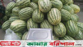 পটুয়াখালীতে কেজি দরে তরমুজ বিক্রি, ৪ বিক্রেতাকে জরিমানা