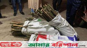 বরগুনায় সংরক্ষিত বনের গাছ কেটে মারামারির লাঠি, আটক ২