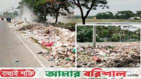 চরফ্যাশনে সড়কের পাশে ময়লার ভাগাড়, দুর্ভোগে জনসাধারণ