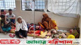 আমতলীতে ডায়রিয়ার প্রকোপ: স্বাস্থ্য কমপ্লেক্সের ৬ জনের বেডে ৩০ জনের চিকিৎসা