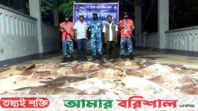 শাপলাপাতা, হাঙ্গর ও পিতম্বরী মাছসহ ট্রলার জব্দ