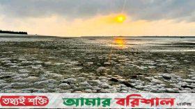 মৃত জেলিফিস কাজে লাগাতে গবেষনা সংক্রান্ত কমিটি গঠন