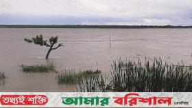 বরগুনায় তলিয়ে যাচ্ছে নিম্নাঞ্চল