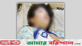 ঝালকাঠিতে যৌতুকের টাকা না পেয়ে স্ত্রীকে রাতভর নির্যাতন, স্বামী কারাগারে